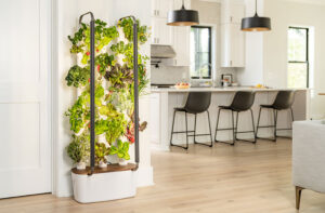 Photo of Gardyn Home Kit Hydroponic indoor gardening system